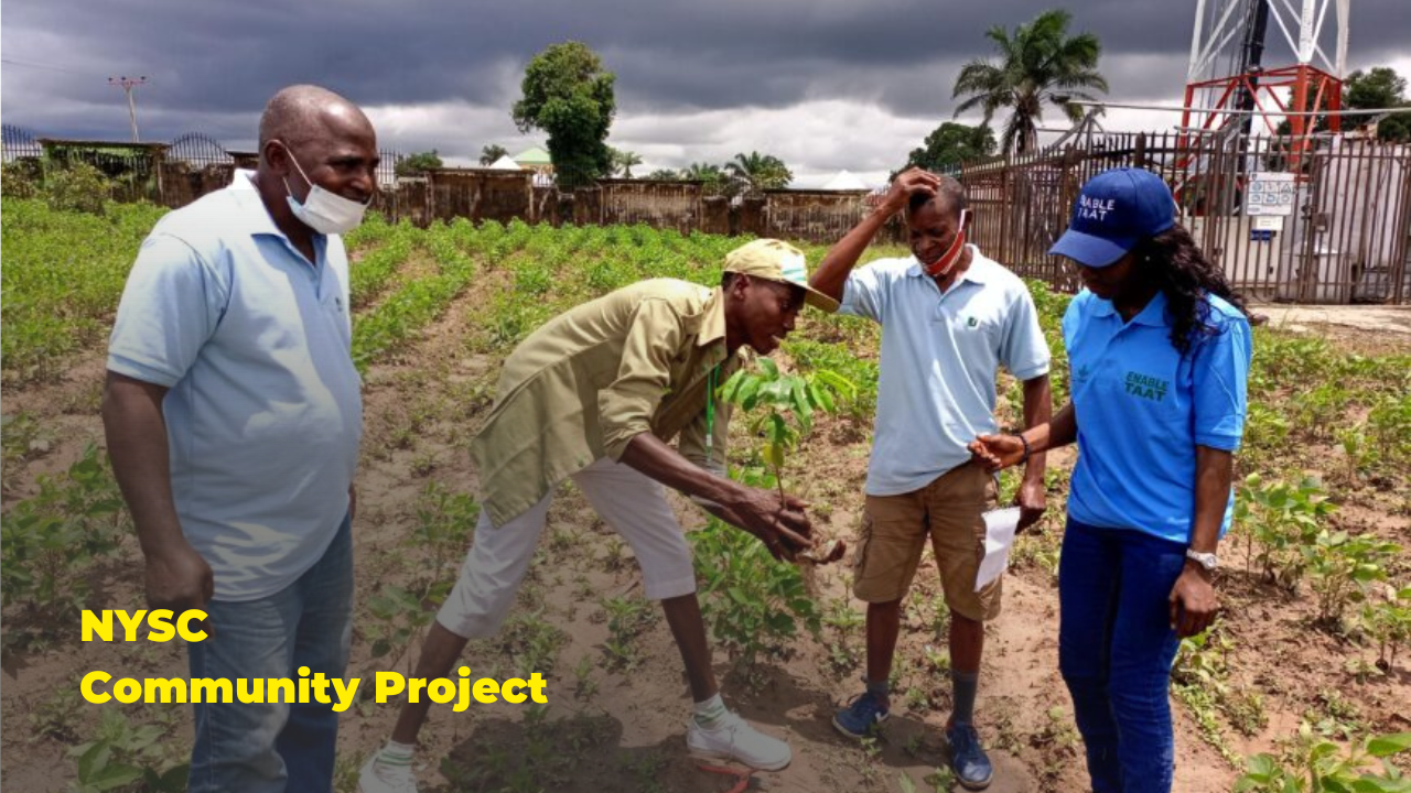 NYSC Community Project: Corps members planting trees in a rural village.
