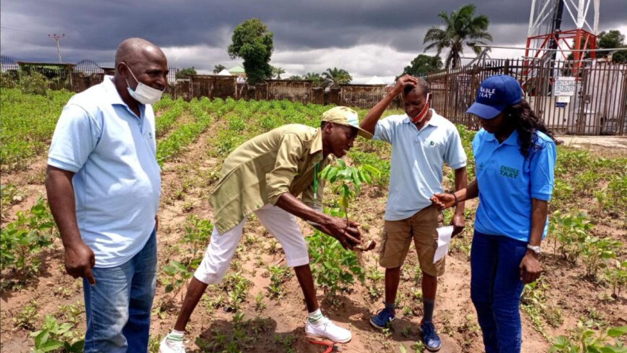 NYSC Corps Members Planting Trees in a Community