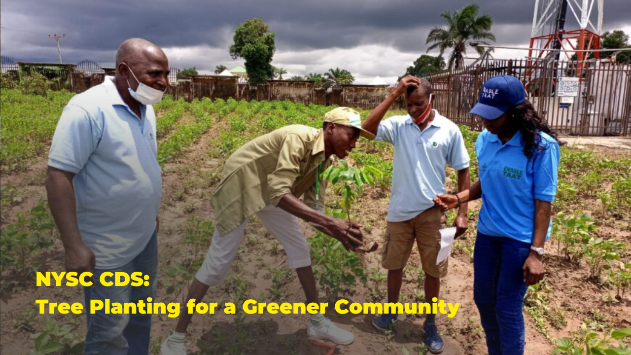 Group of NYSC members planting trees in a community